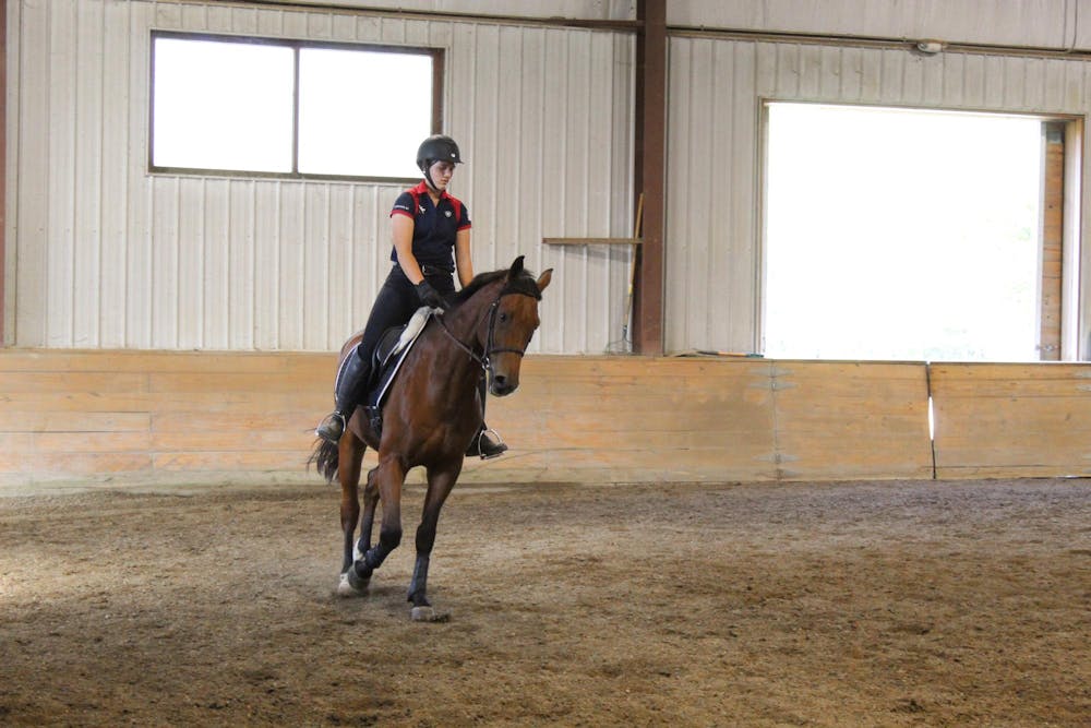 <p>Dressage equestrian team practicing for upcoming competition</p>