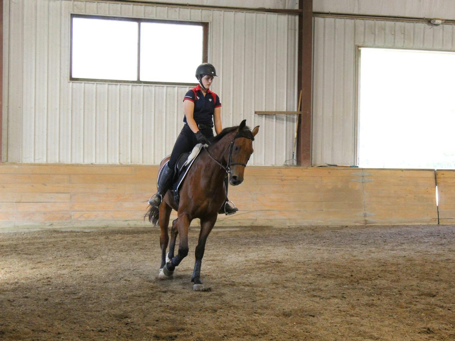 A rider practices dressage with their horse. They are in an arena. 