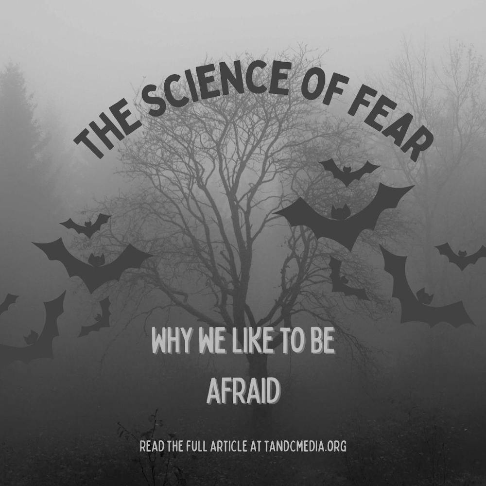 <p>Science of fear: why we like to be afraid</p>