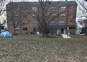 A brick dorm building with a tree in front of it and a painted rock on the side.