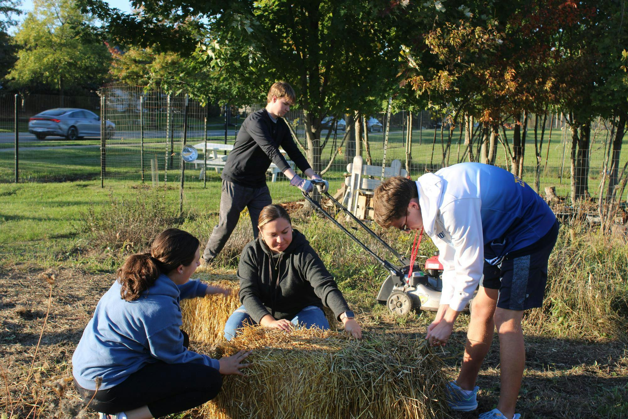 getting read to sprinkle the hay on ground.JPG