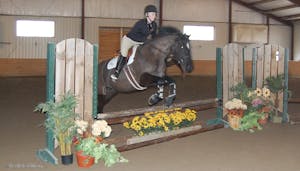 Otterbein’s Hunt Seat Team will send 21 riders to Regionals.