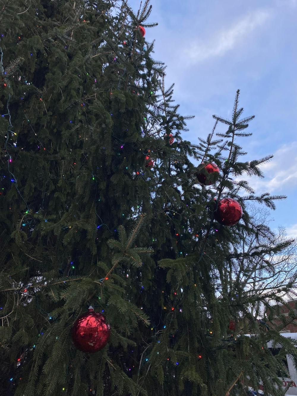 <p>Uptown Westerville has decorated trees throughout the holiday season.</p>