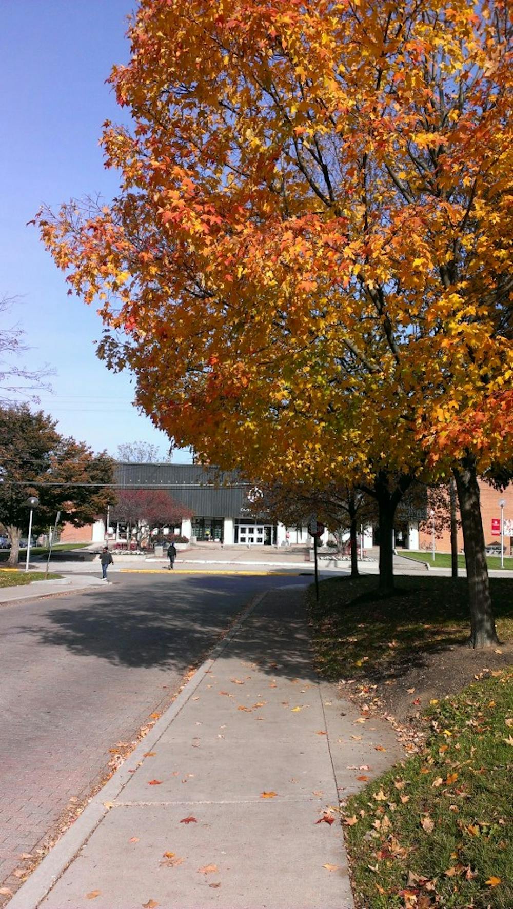 	<p>A beautiful fall day at Otterbein</p>