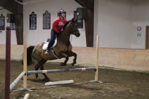 horse jumping 2