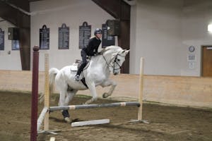 horse jumping 4