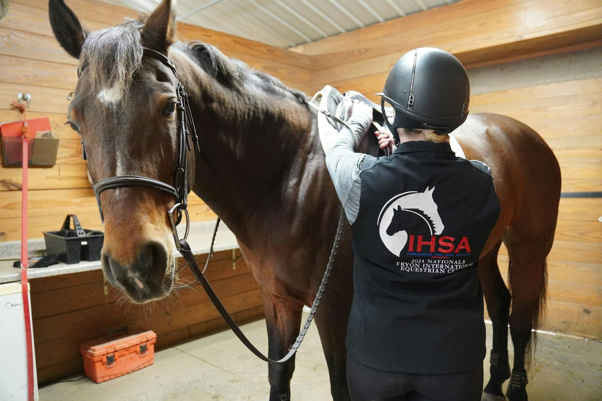 Horse rider preparing for an event 