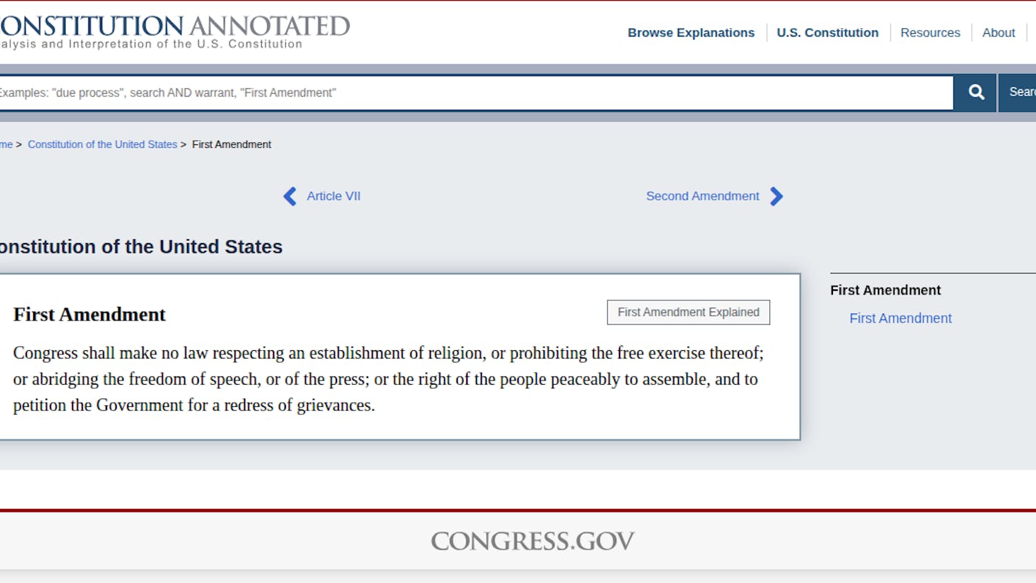 Screenshot of the First Amendment
