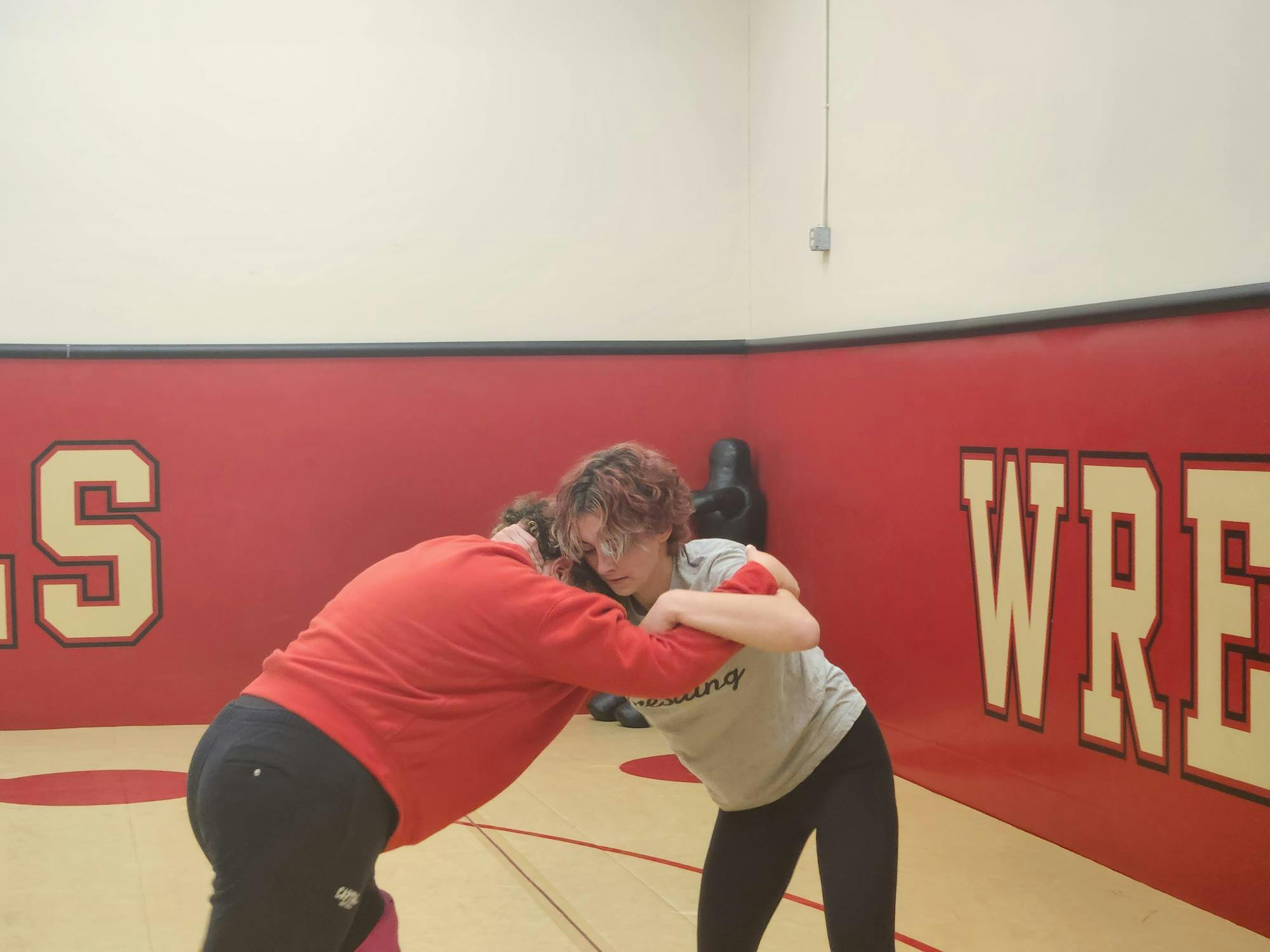 Women's Wrestling Pic 2 .jpg