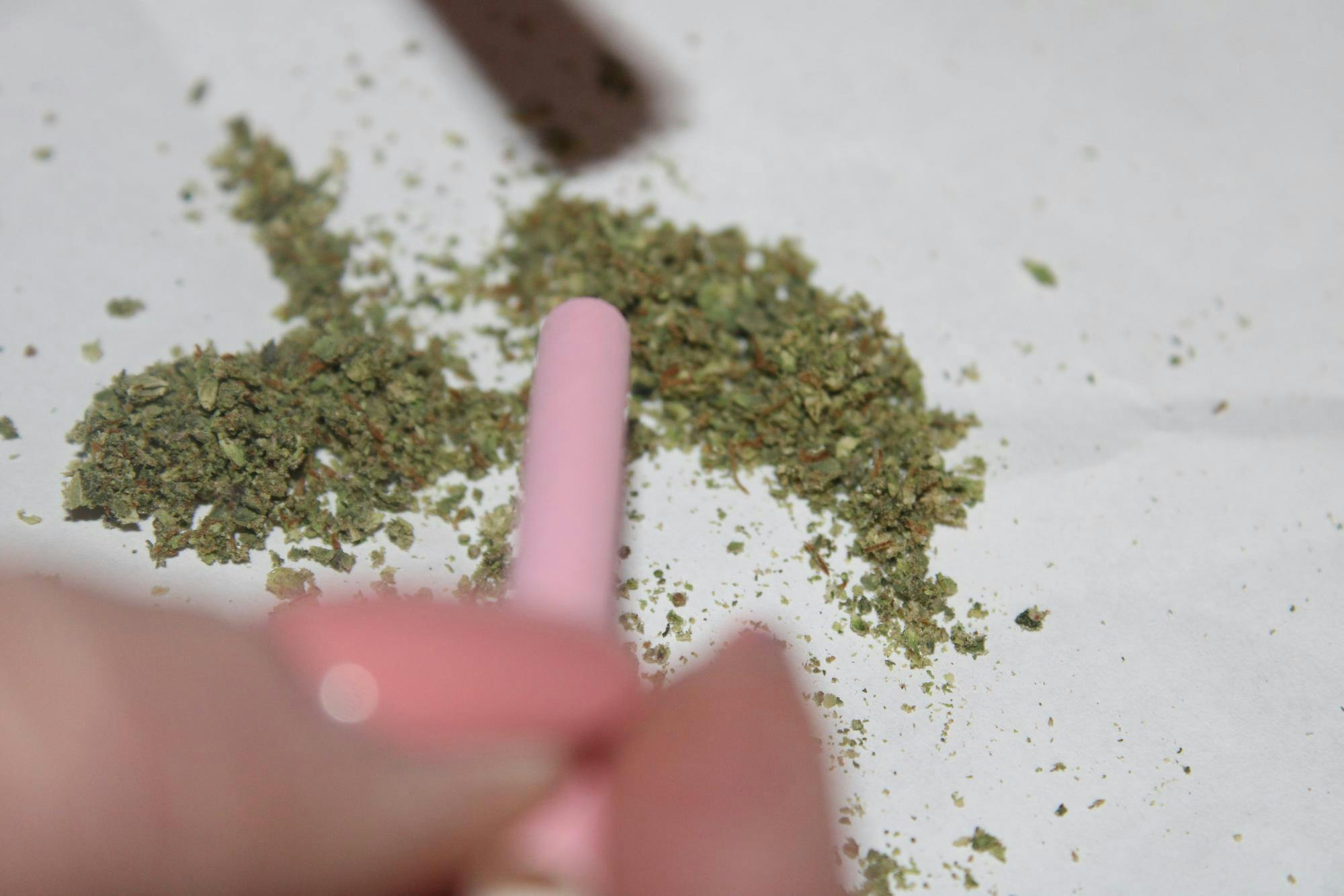 Marijuana being packed into a joint on an ashtray.