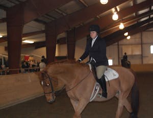 1665_horseshow8f.jpg