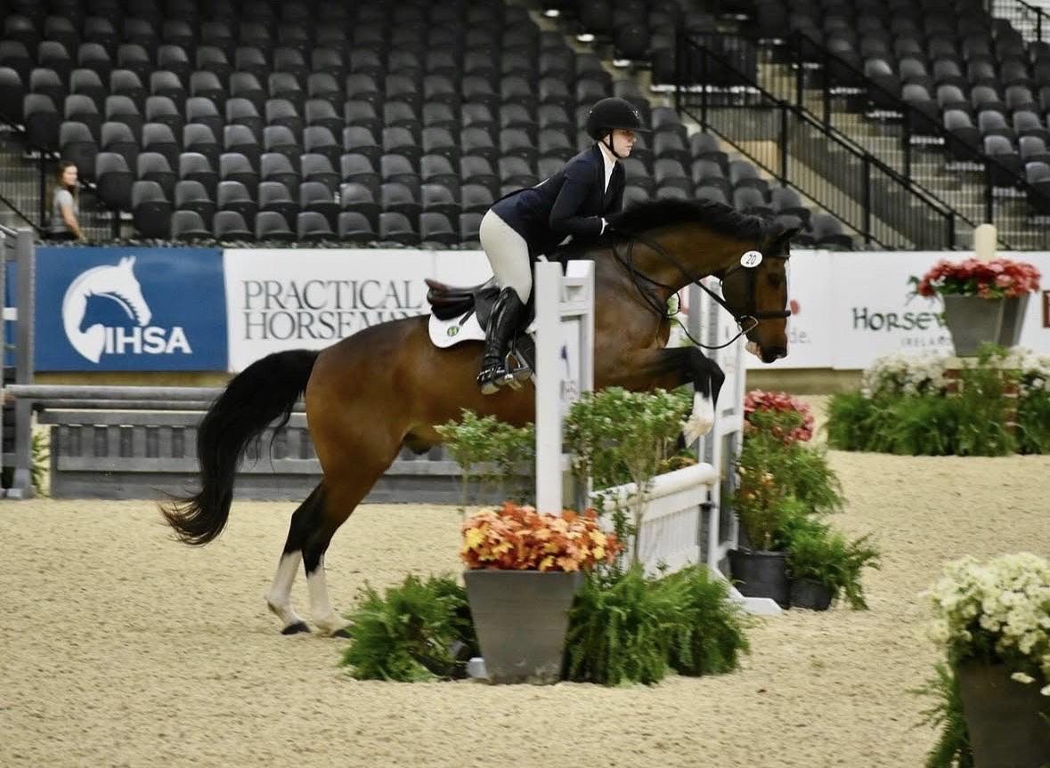 Horse jumping over barrier