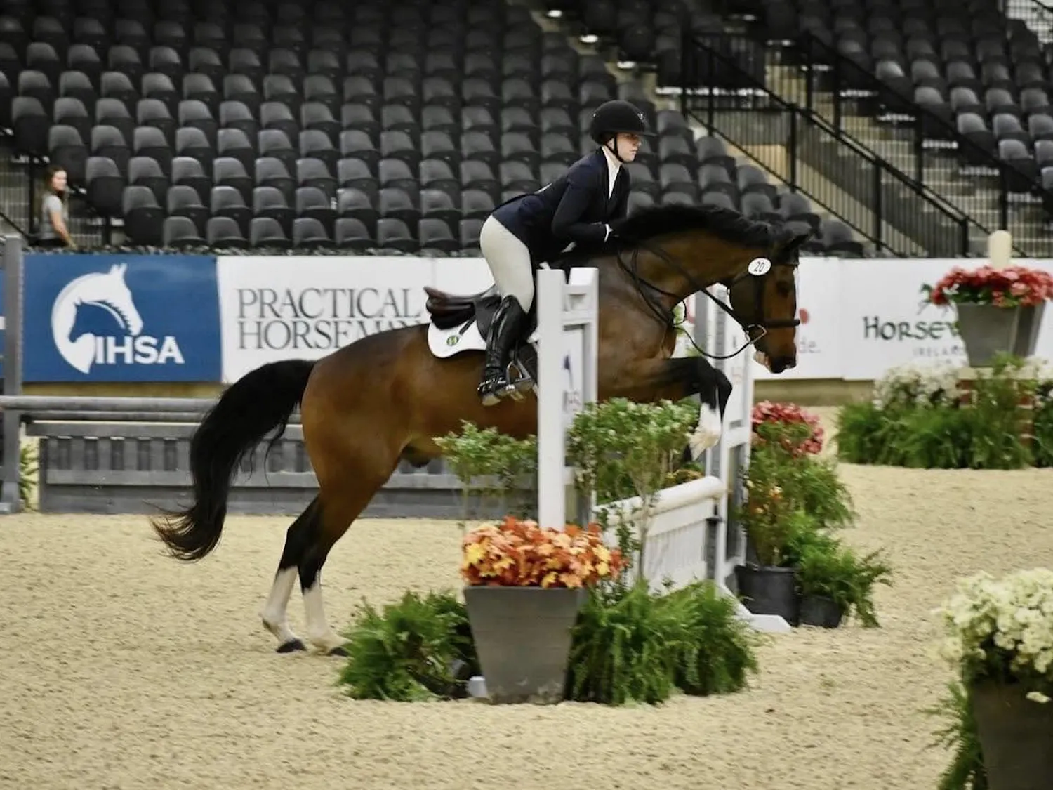 Horse jumping over barrier