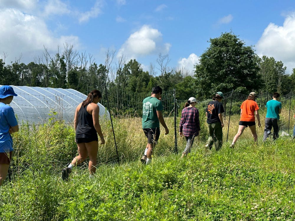 Students walking in a line in nature. There is greenery in the foreground and background, along with a greenhouse.