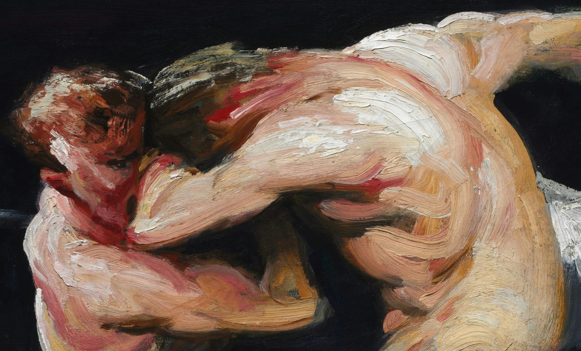 Stag at Sharkey's - cropped CC0 1.0.jpg