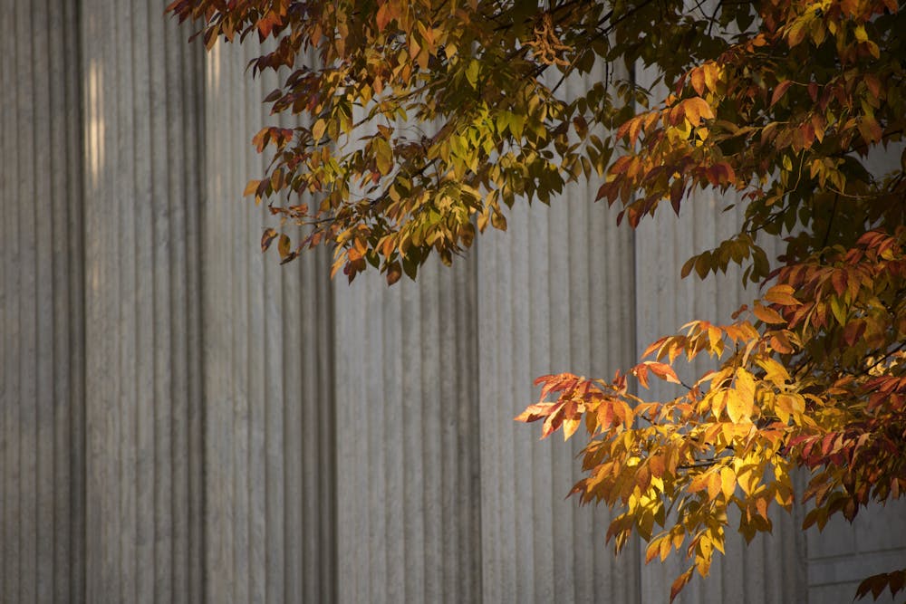 Autumn leaves on a branch at an angle on the right size in front of classical greek white marble columns