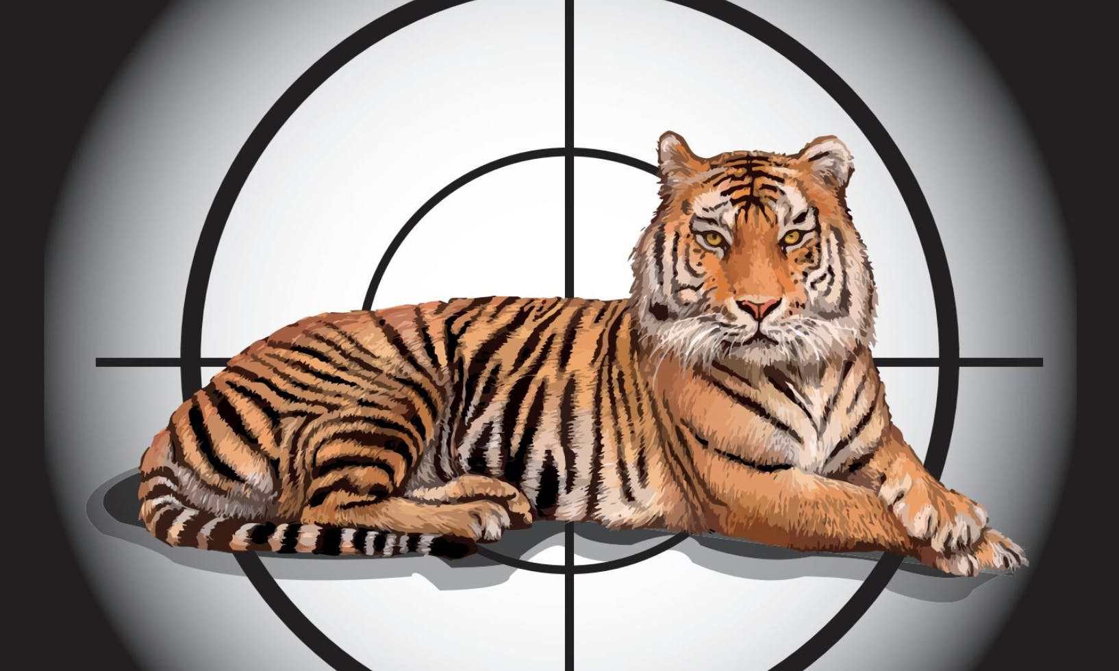 Princeton in the nation's crosshairs