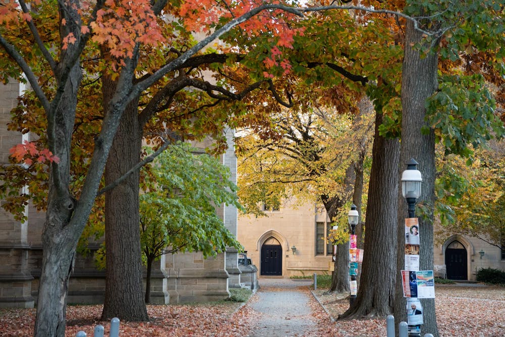 A paved walkway partly covered by fallen leaves leading towards a neo-Gothic building.