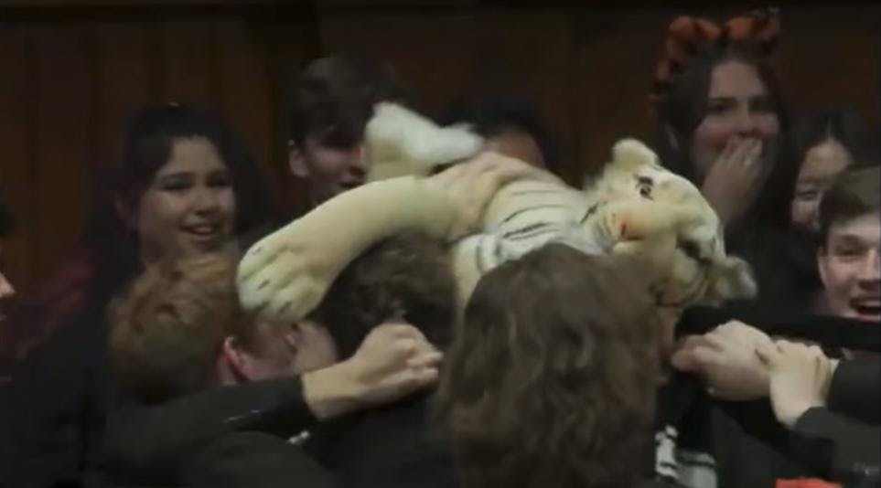 Students wearing all black fighting over a stuffed tiger. Students have shocked faces in the background. 