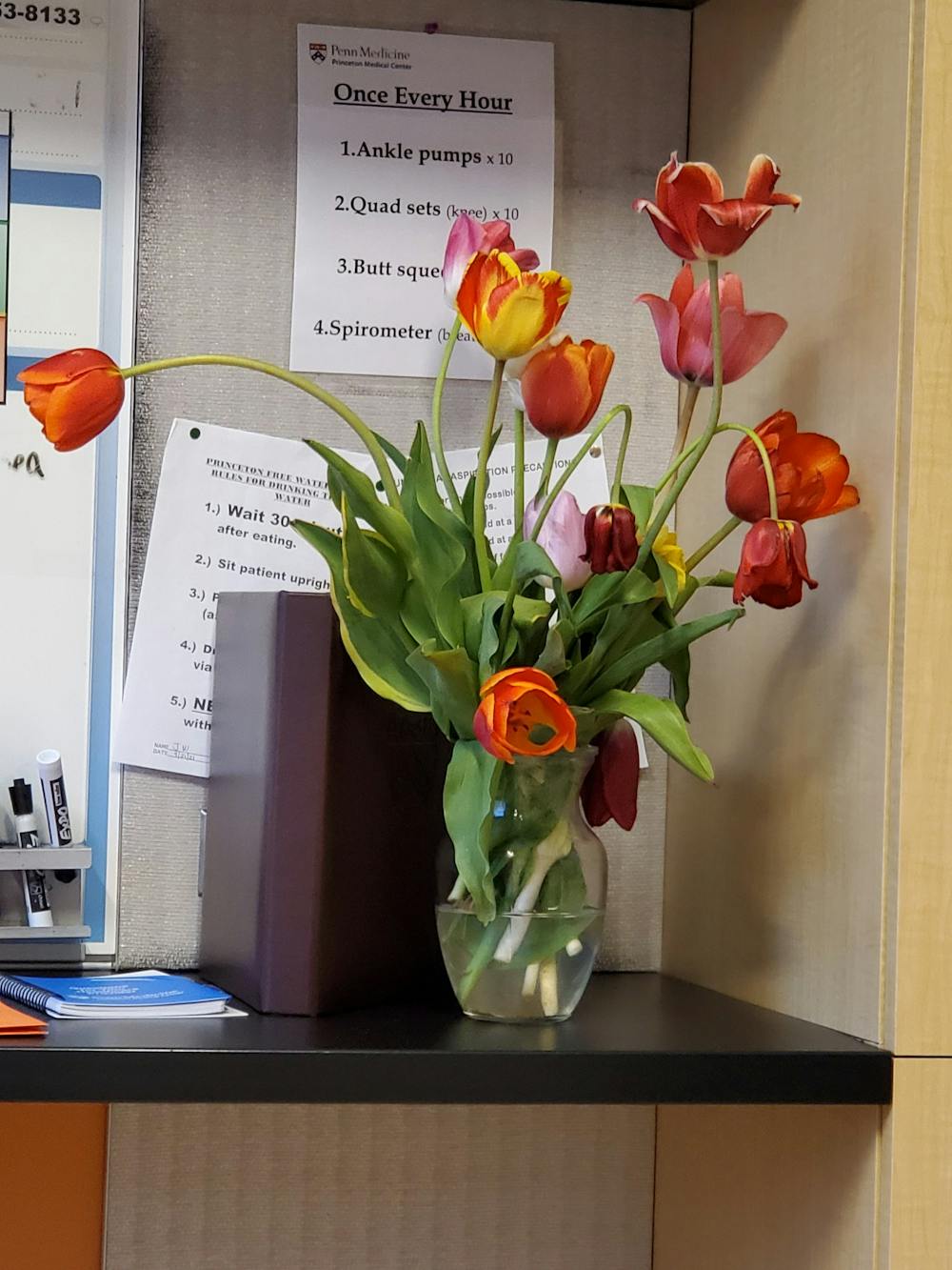 <h5>Tulips in the hospital room, picked the day before.</h5>
<h6>Courtesy of Emily Miller</h6>