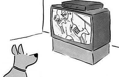 Dog's Olympic dreams