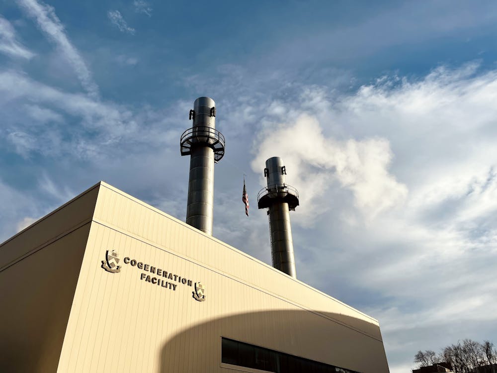 <h5>&nbsp;<strong>The campus cogeneration plant on Elm Drive emitting a plume of water vapor.</strong>&nbsp;</h5>
<h6>Zehao Wu / The Daily Princetonian</h6>