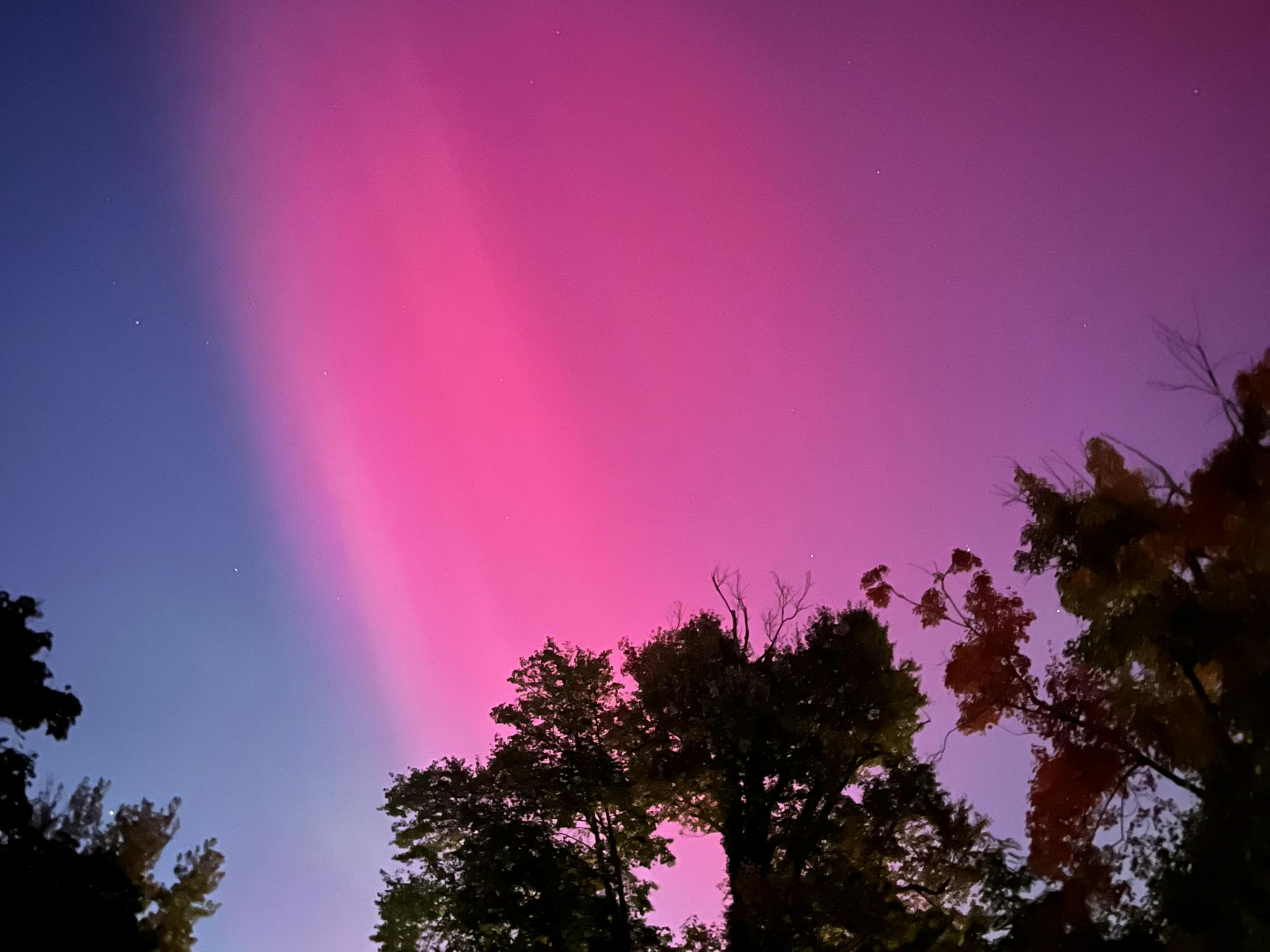 PInk and blue sky. Branches and leaves of a tree can be seen. 