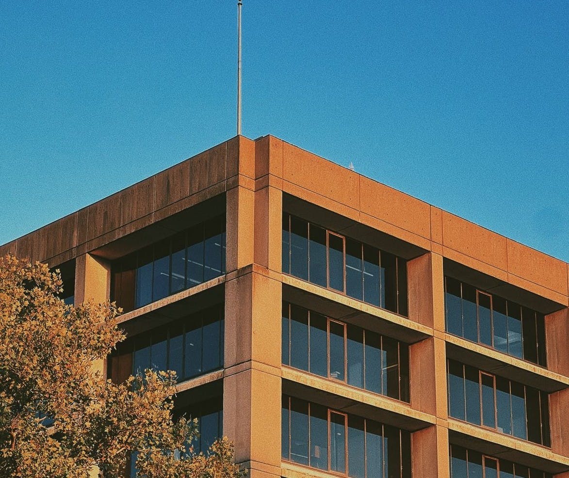 new_south_louisa_gheorghita