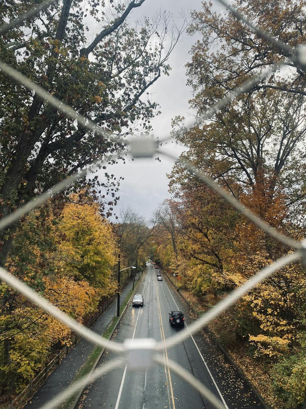 An aerial view of a long road lined by trees in front of a gray sky.