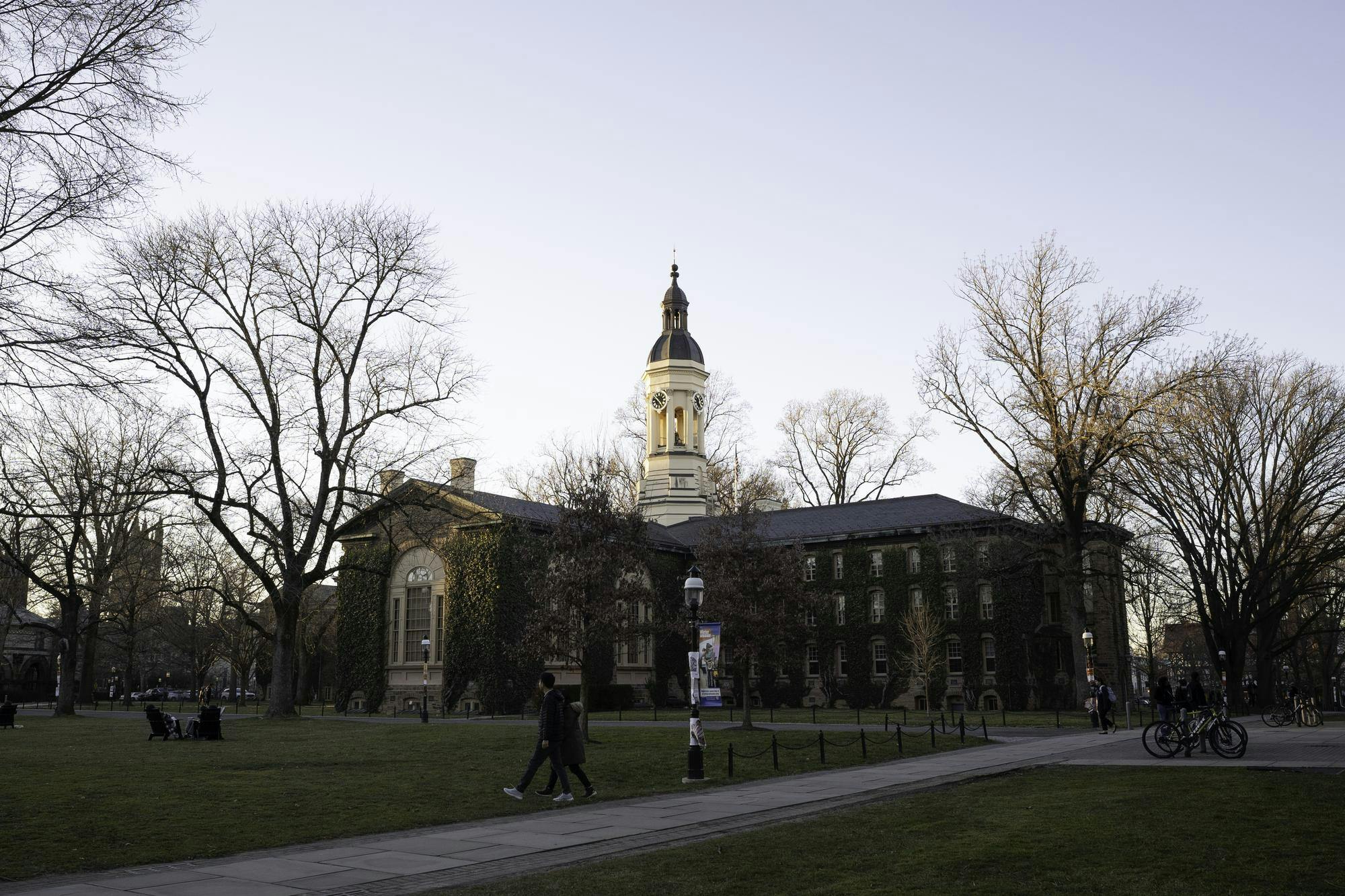 A wide view of the back of a building covered in ivy. Barren trees and grass are in the foreground and it is twilight outside.