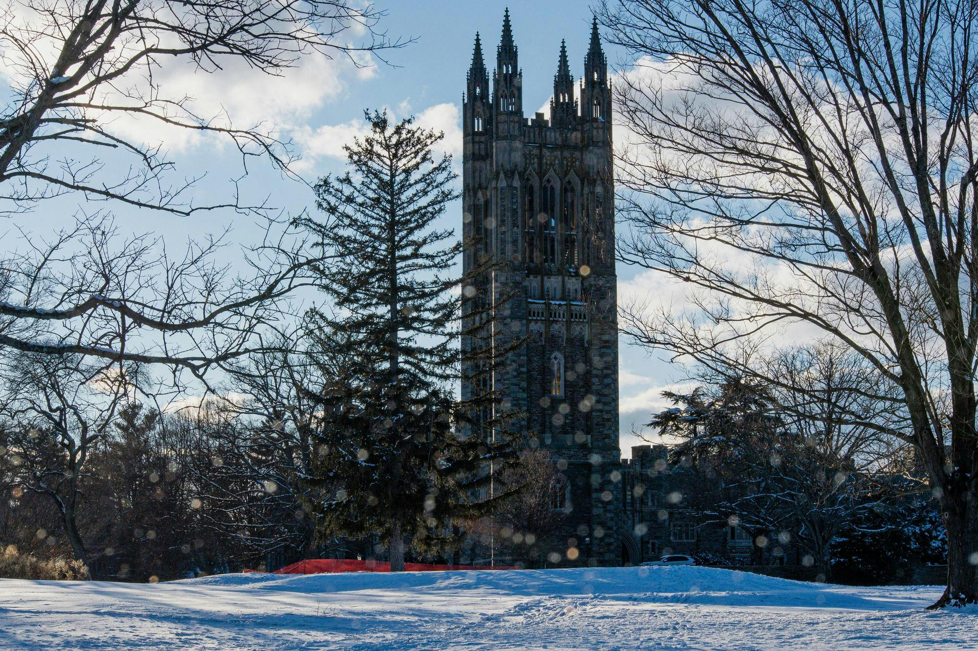 A tall Gothic building with trees in front on a snowy day.