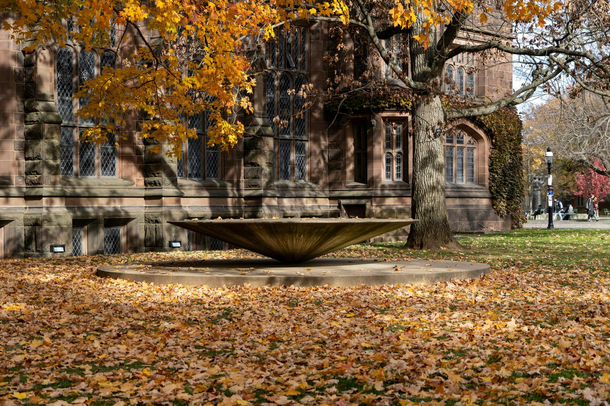 Leaves around cone-shaped structure.jpg