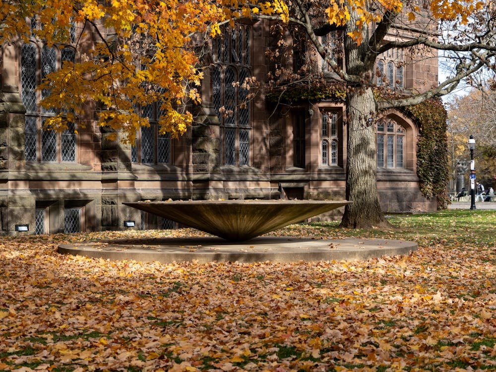 Leaves around cone-shaped structure.jpg