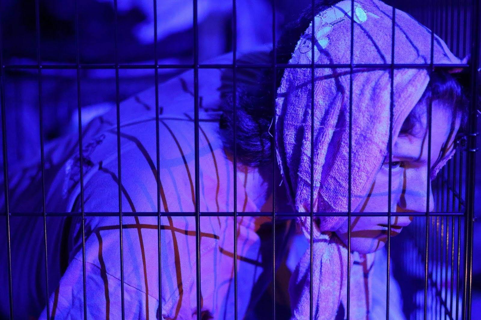 Princeton Pictures dom Media