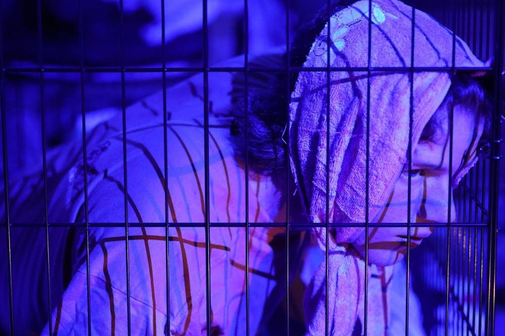 Princeton Pictures dom Media