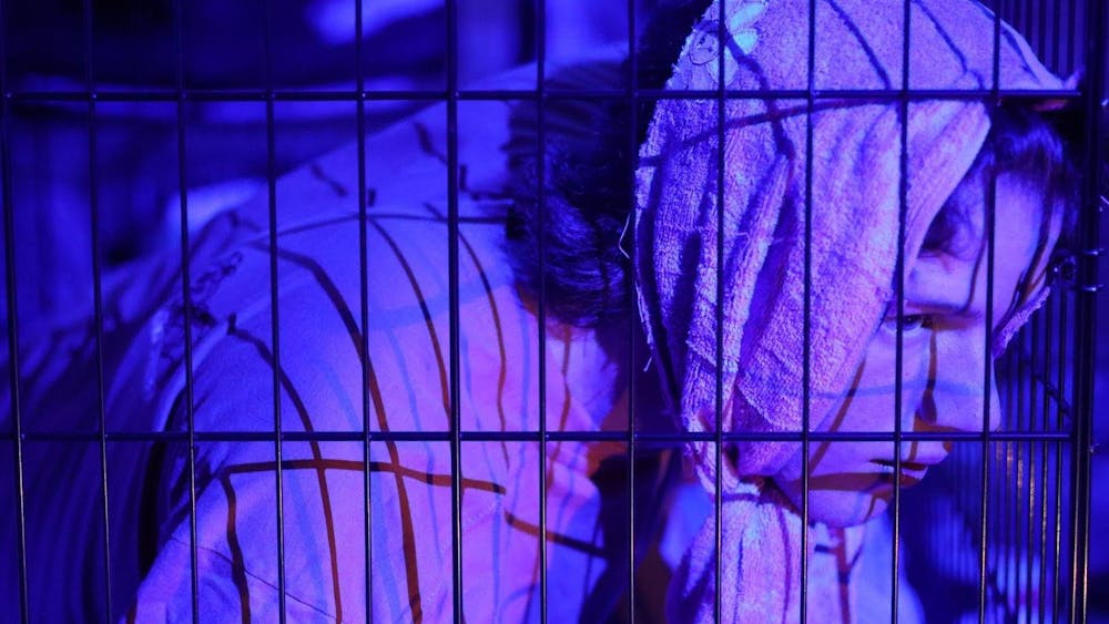 Princeton Pictures dom Media