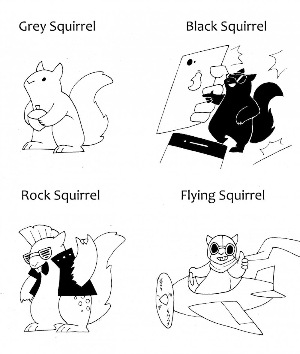 A Guide to Squirrels