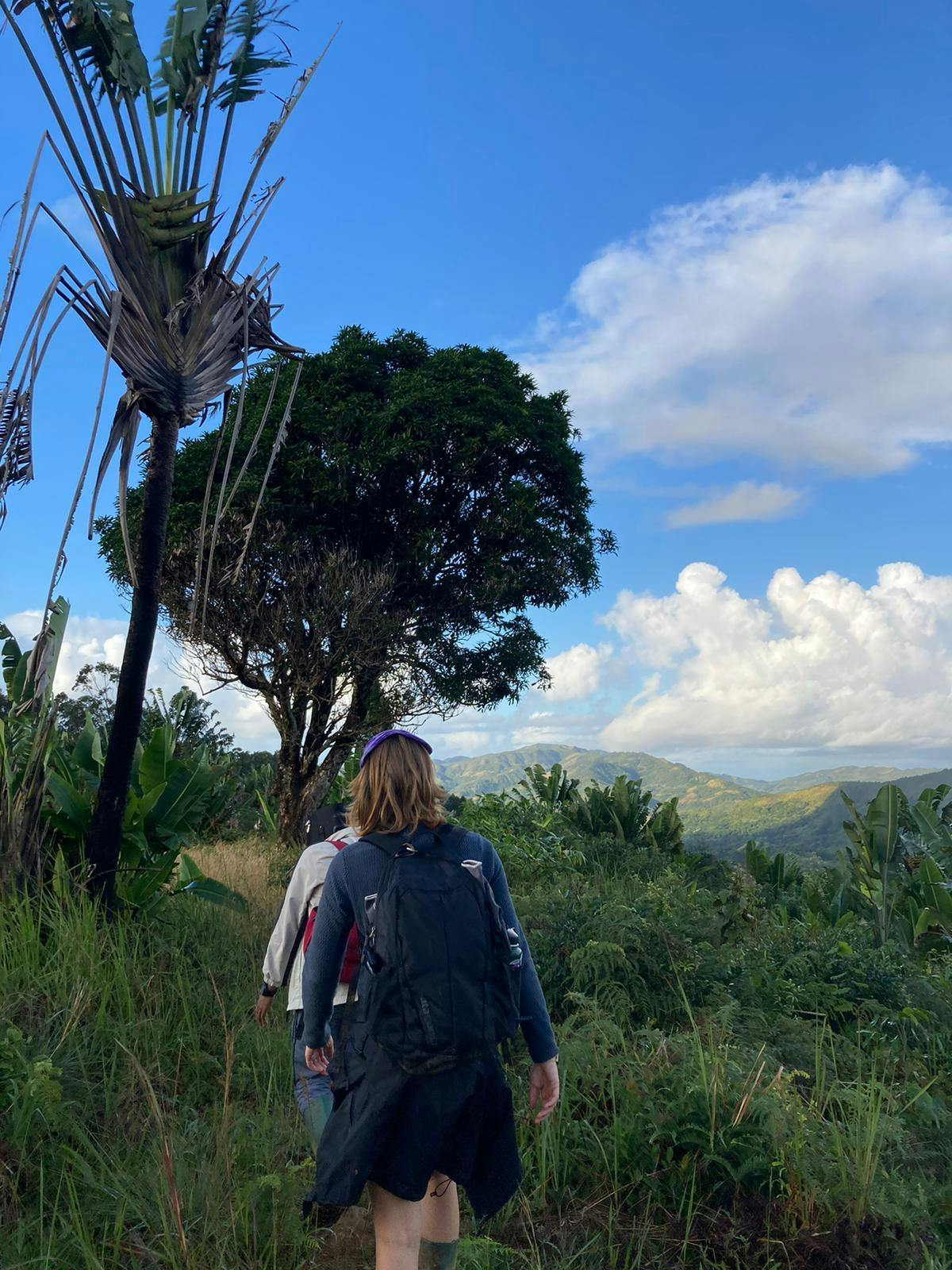 An individual walking in the rainforest with a view of a mountain.