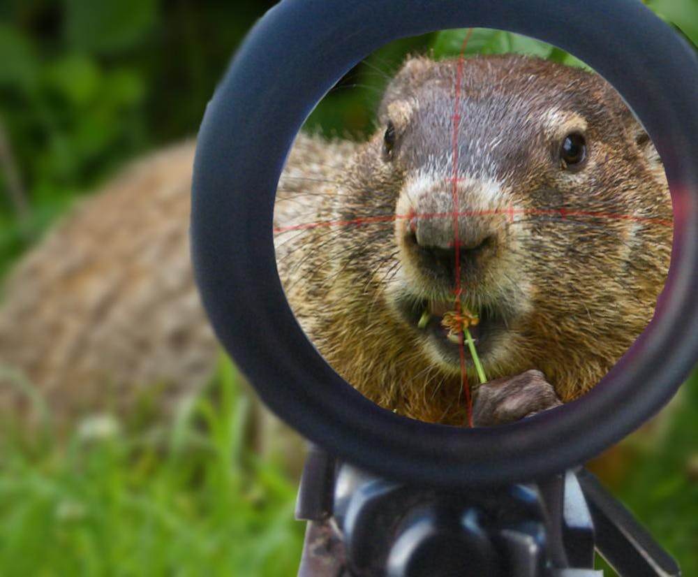 Punxsutawney Phil.jpg