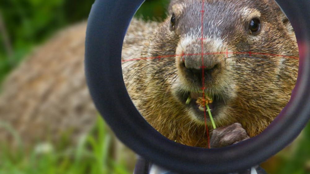 Punxsutawney Phil.jpg