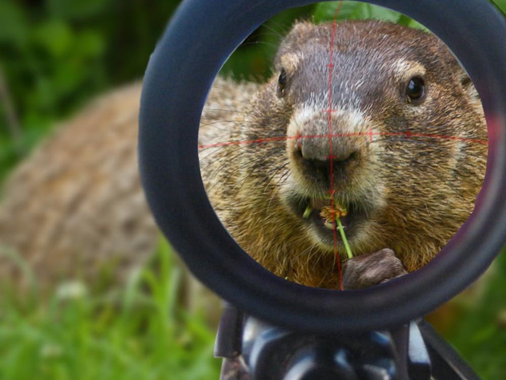 Punxsutawney Phil.jpg