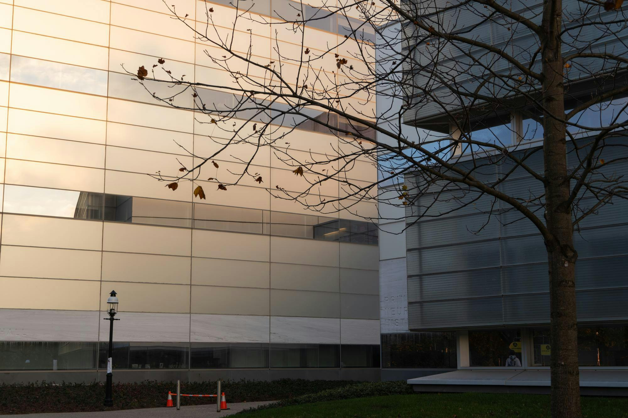 [PNI] - Louisa Gheorghita.jpg