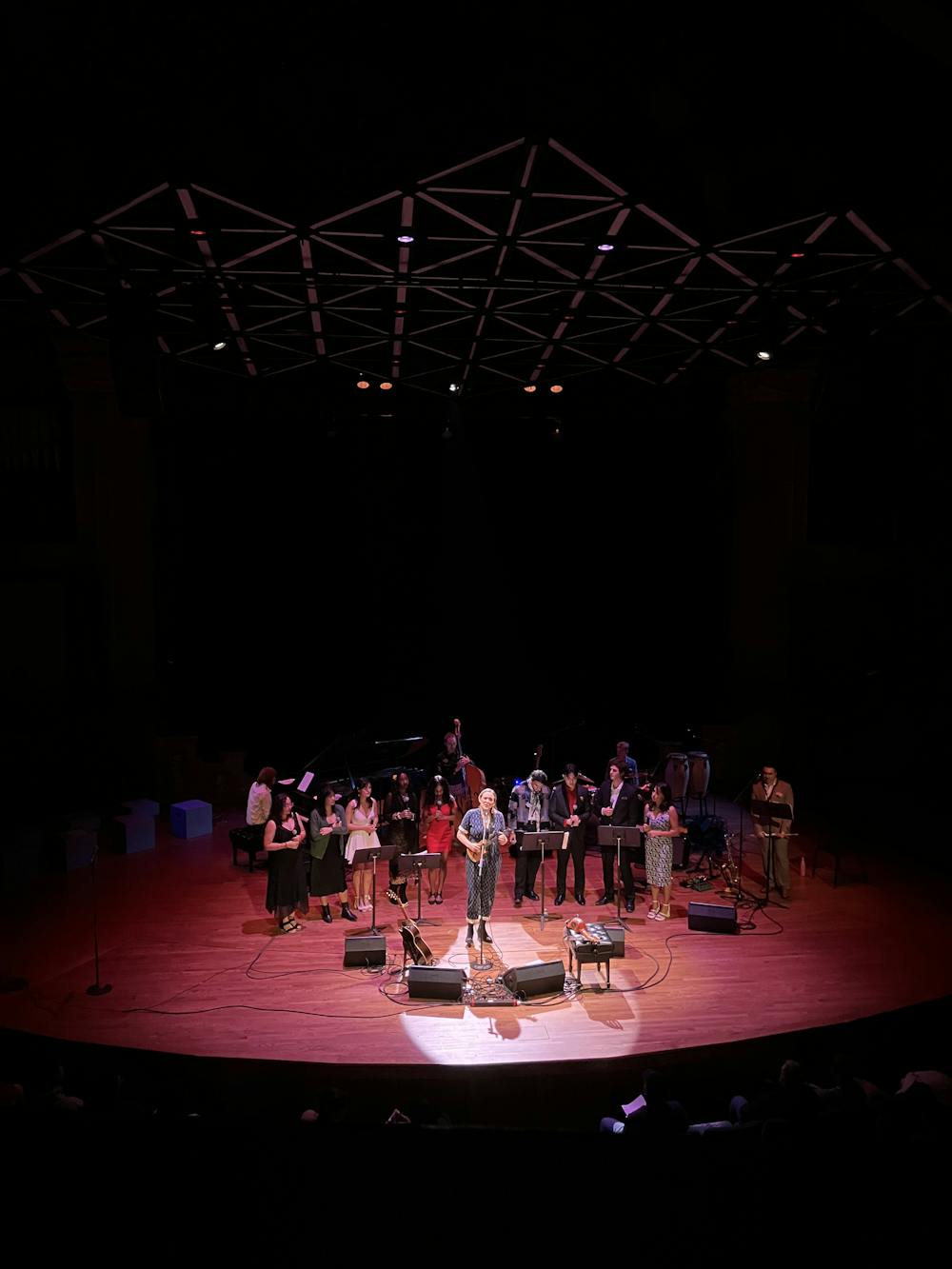 Musicians stand in a line on stage, with microphones and instruments.