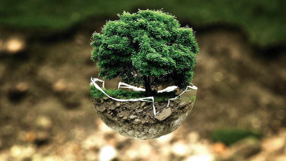 environmental-protection-683437_960_720