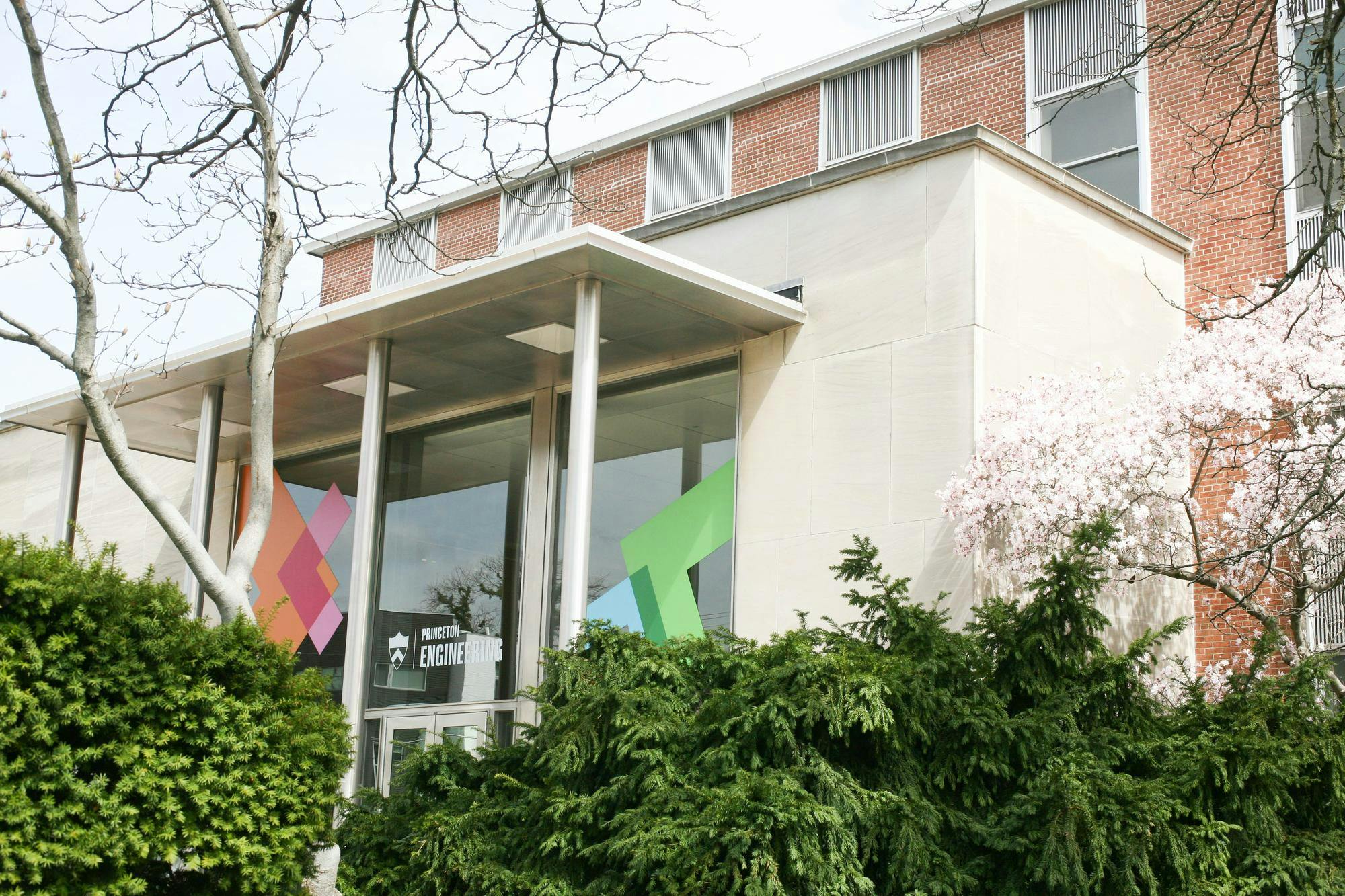 Annie Rupertus Equad Spring Flowers.jpg