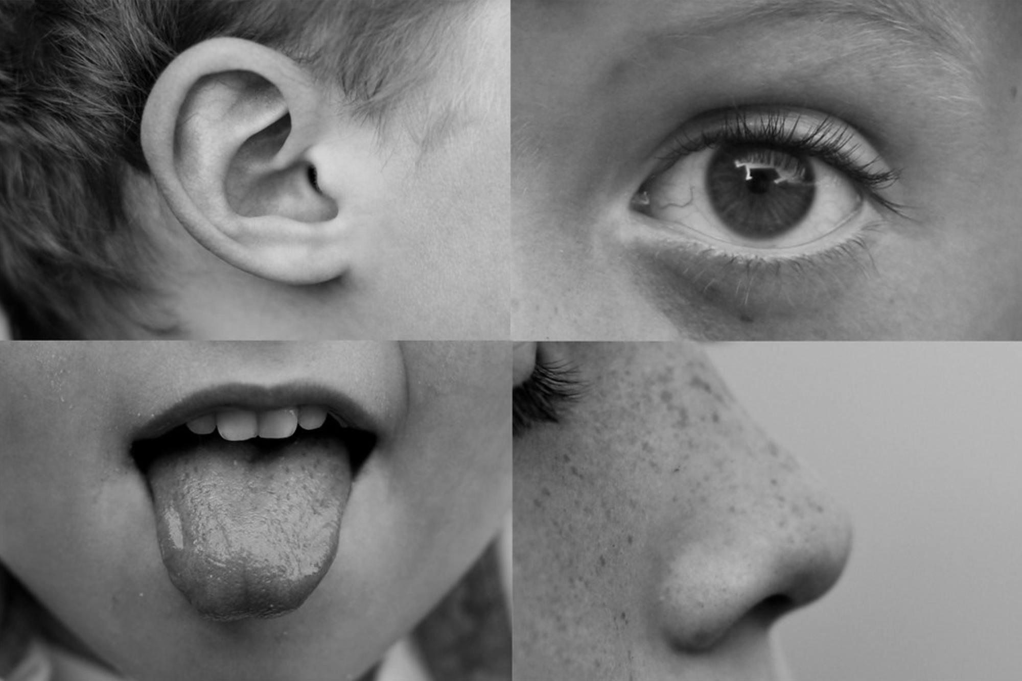Black and white photo of an ear, eye, tongue, and nose.
