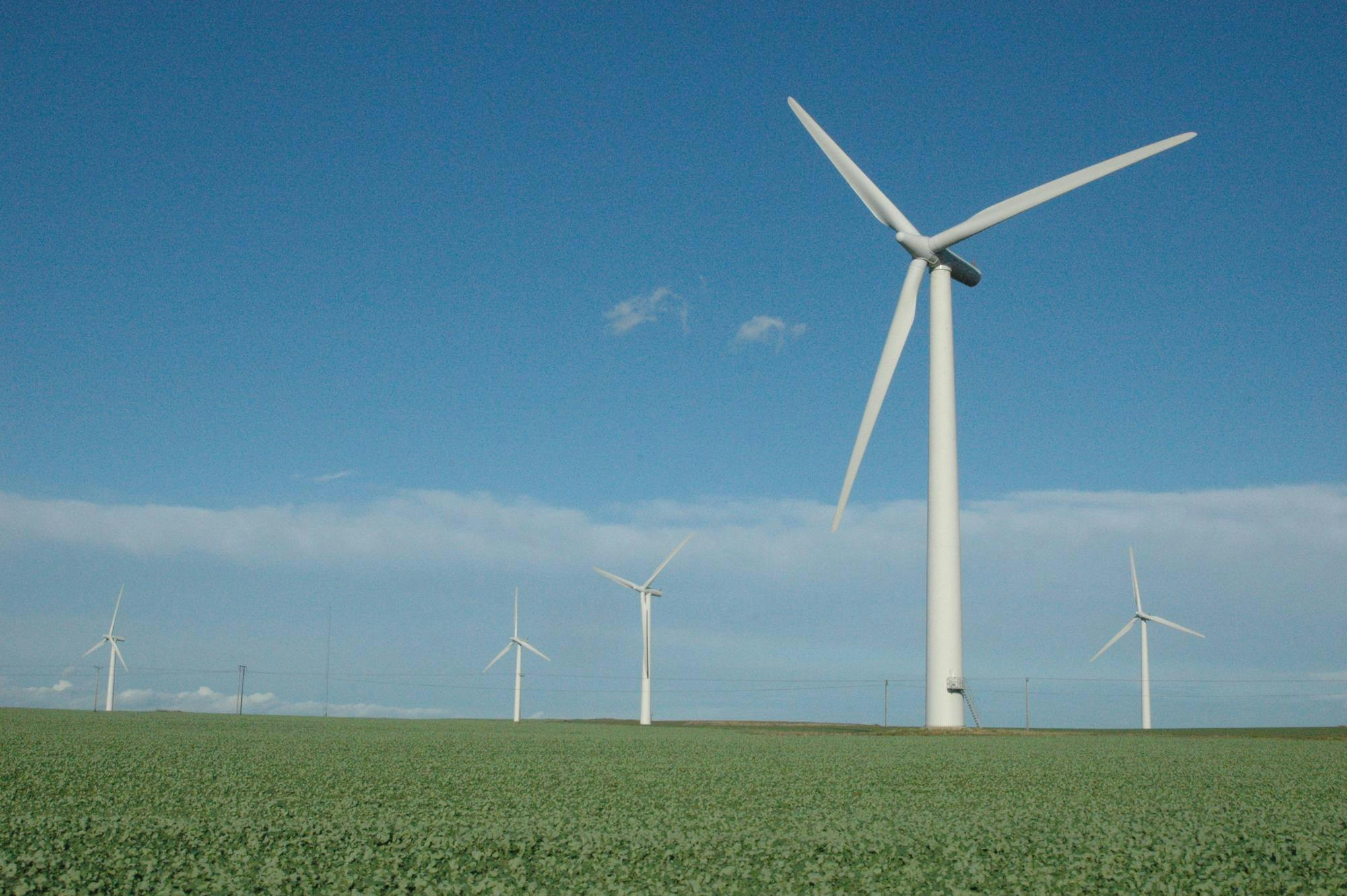 Wind turbines in a field.
