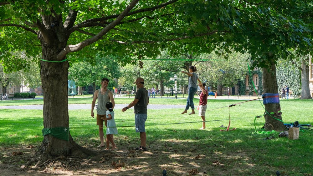 A slackline is suspended between two trees on the edge of Cannon Green on a sunny day. A woman is walking across the slackline, and other people are laughing and talking in the area. 