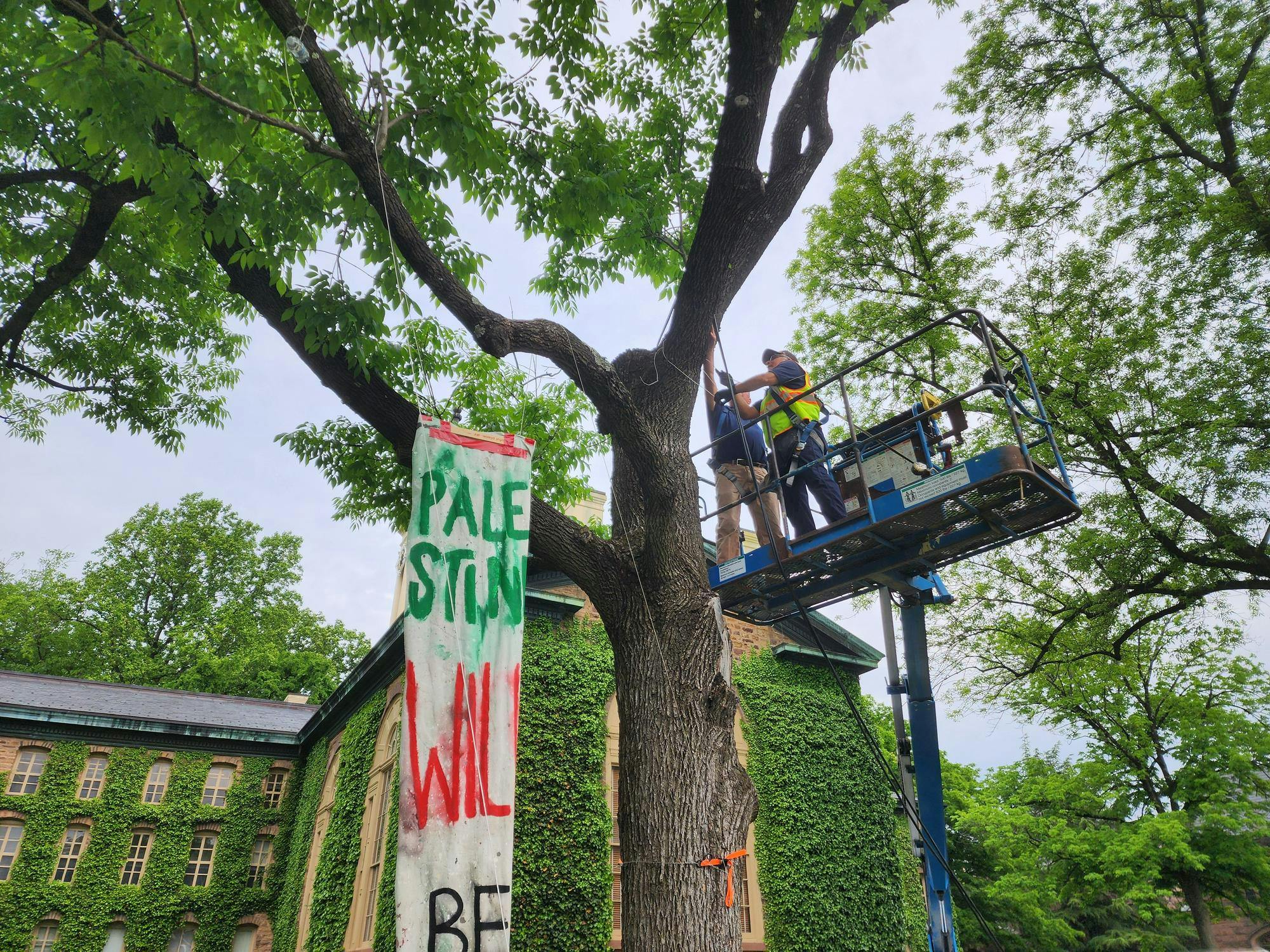 People on a blue cherrypicker machine handle cords wrapped over tree branches. A banner hangs from another branch, reading, "Palestine will..."