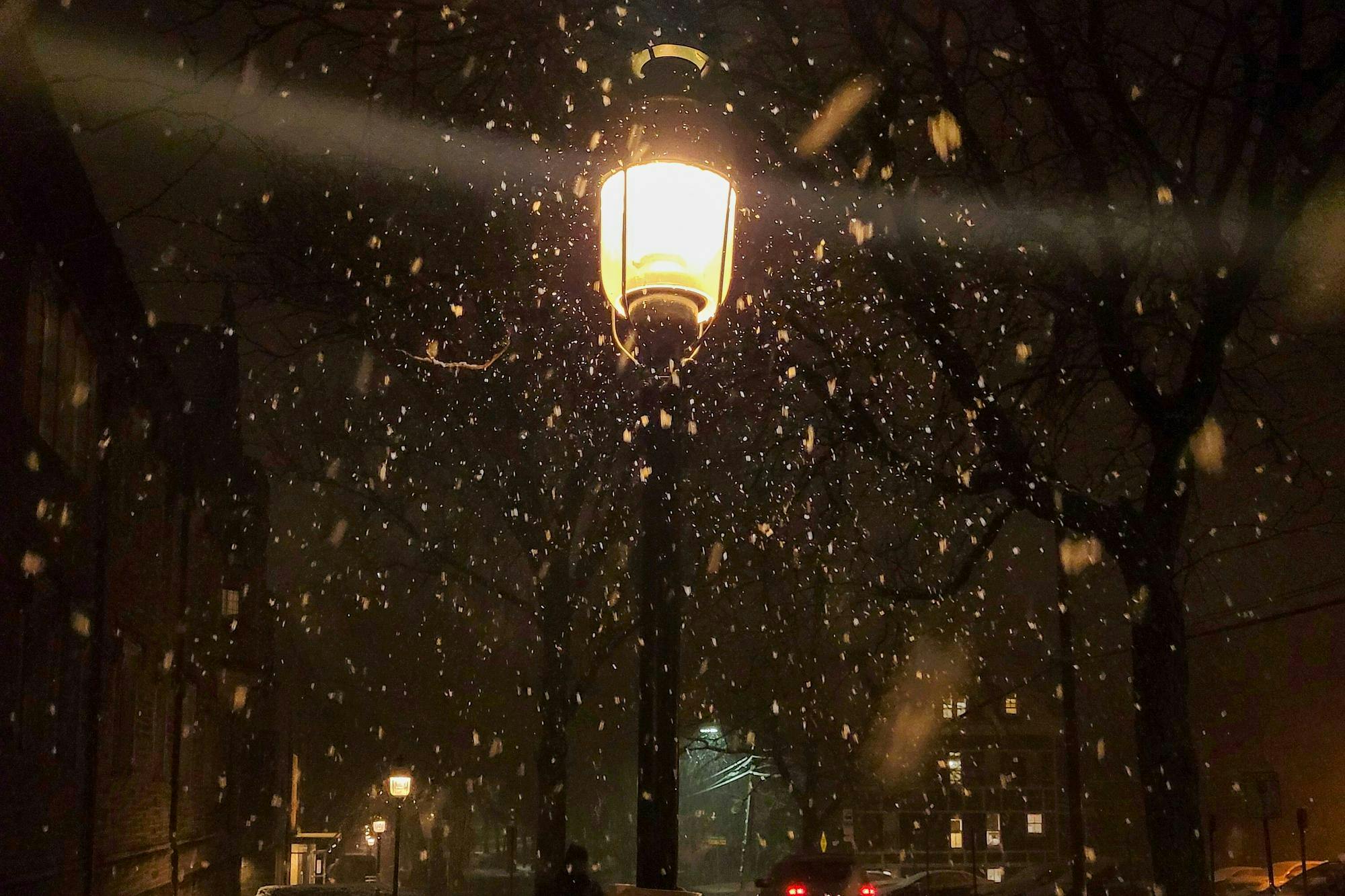 A streetlight shines in the middle amidst a heavy snowfall. 